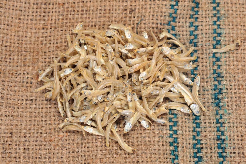 Dried Anchovies stock image. Image of health, marine 22706585