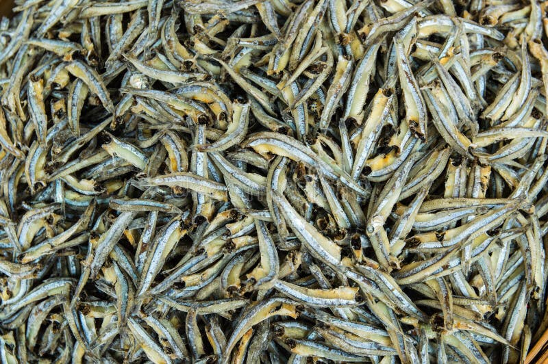 509 Dried Salted Anchovies Background Stock Photos Free & Royalty