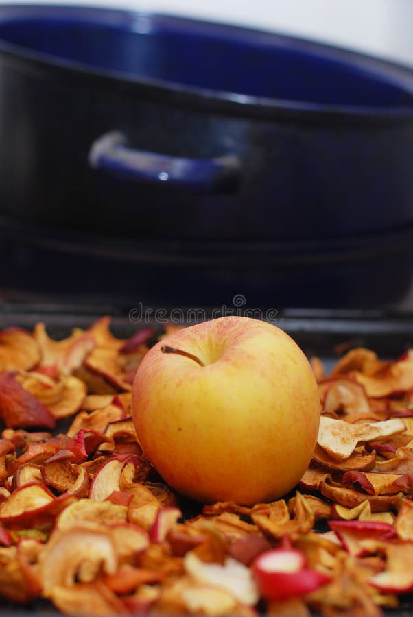 Dried apples stock photo. Image of fruit, apple, sweet 36166008