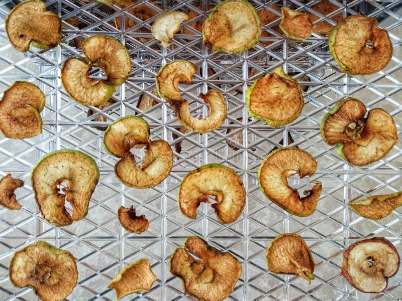 315 Fruit Drying Machine Stock Photos Free & RoyaltyFree Stock