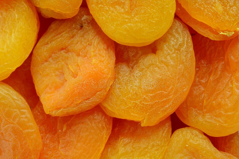 Dried Apricots stock image. Image of rich, durability 35706345