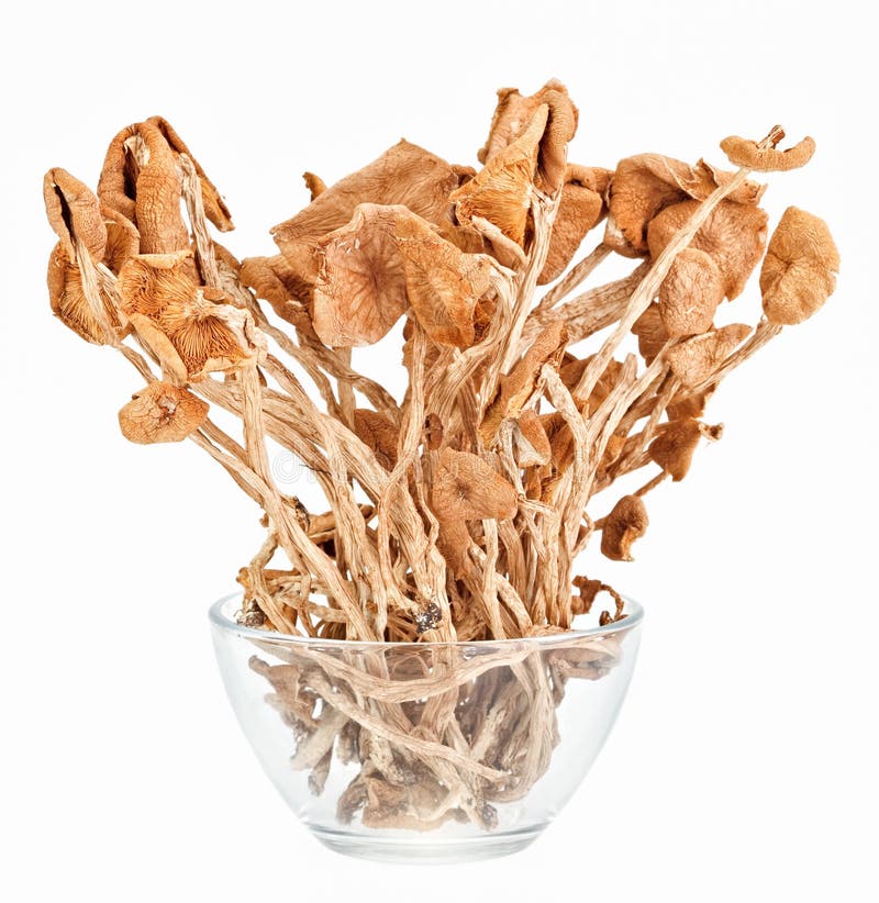 Dried armillaria mushrooms in a glass bowl