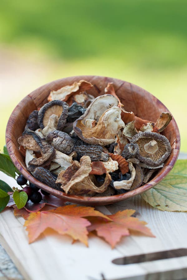 Dried Asia Mushrooms stock image. Image of sliced, shitake 21550717
