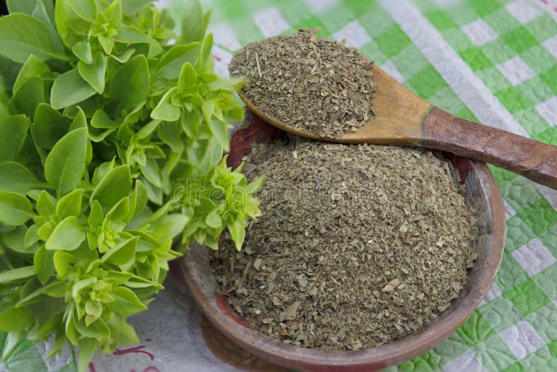 Dried Basil In A Bowl Next To Fresh Basil Stock Image Image of dried, herb 56097051