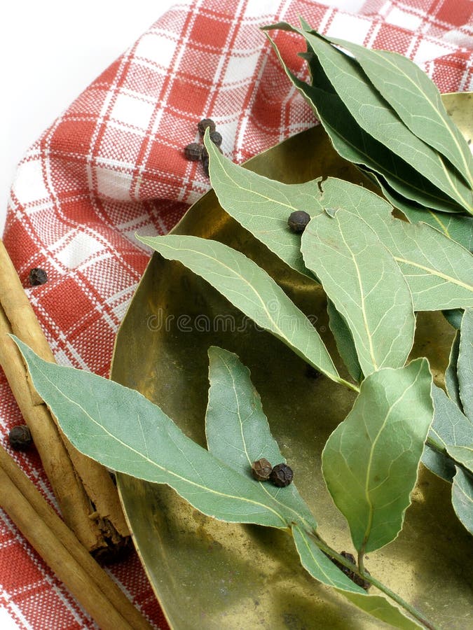 Dried bay leaves stock image. Image of cook, cooking, food 2073245