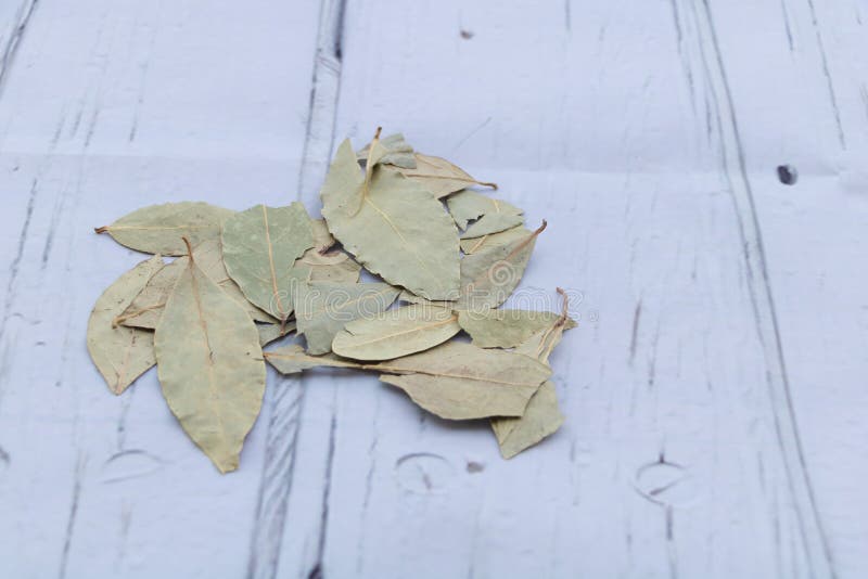 Dried Bay Leaves the Benefits of Bay Leaves Concept Stock Image Image of taste, condiment