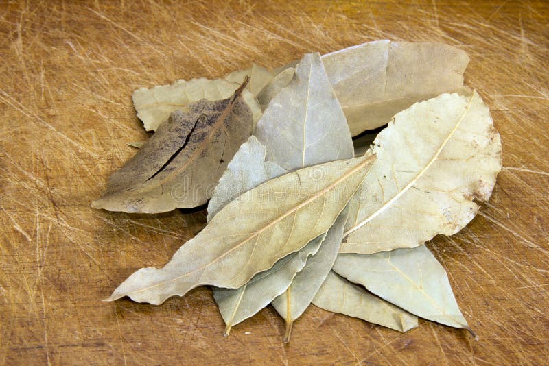 Dried bay leaves stock image. Image of chopping, ingredient 31439969