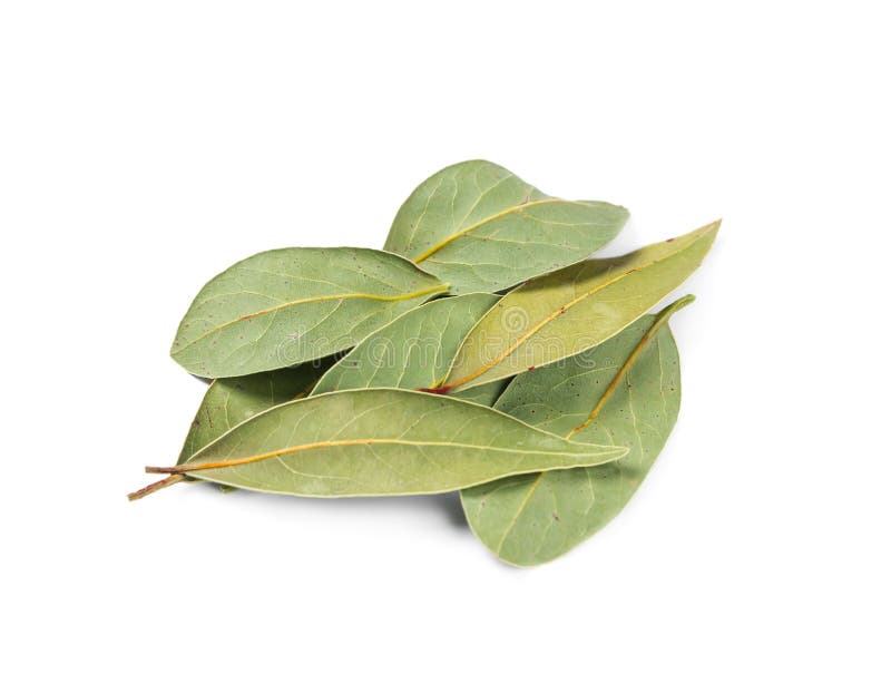 Dried bay leaves stock image. Image of spice, food, aroma 40170379