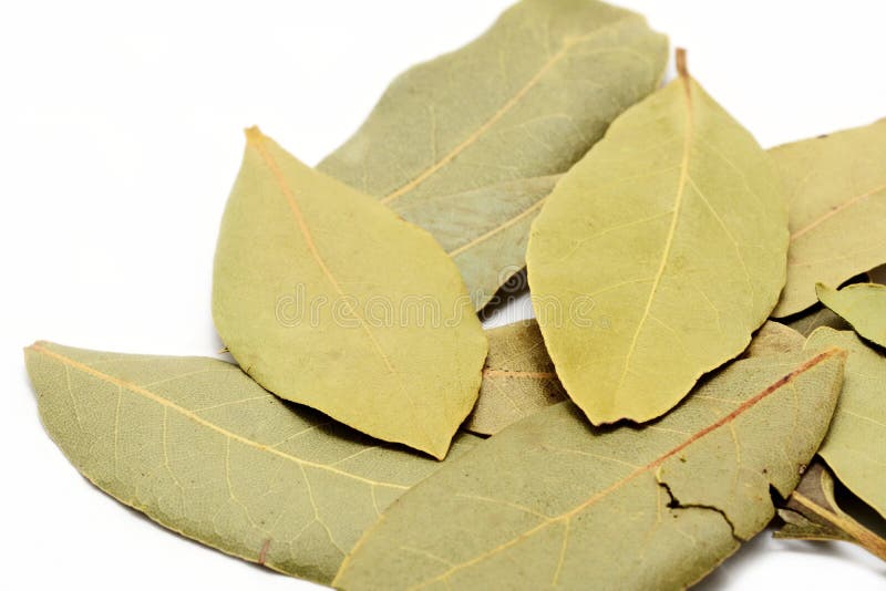 Dried Bay Leaves on White Background Stock Photo Image of pile