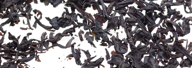 Dried Black Tea Leaves on a White Background. Stock Photo Image of
