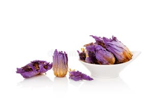 Dried Blue Lotus Flower Stock Image Image Of Blue Colorful 121436353 Dried Blue Lotus Flower Stock Image Image Of Blue Colorful 121436353