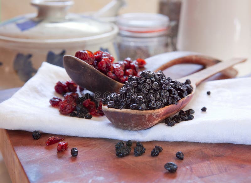 Dried Cranberries and Sugar and Cloves Stock Photo Image of cooking