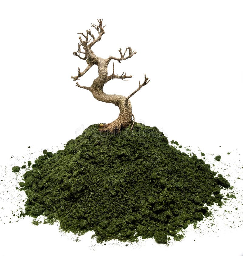 17+ Wilt tree Free Stock Photos StockFreeImages