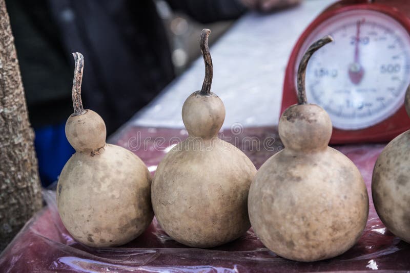 Dried Bottle Gourd on Stall Stock Photo Image of fruit, nutrition