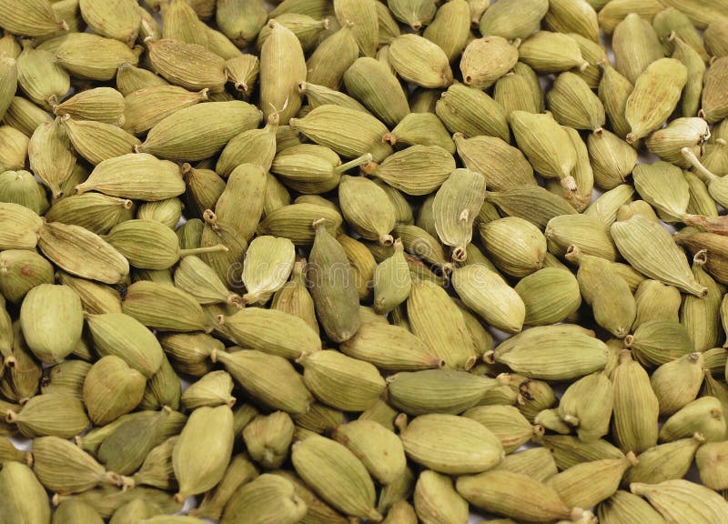 Cardamom dried seeds