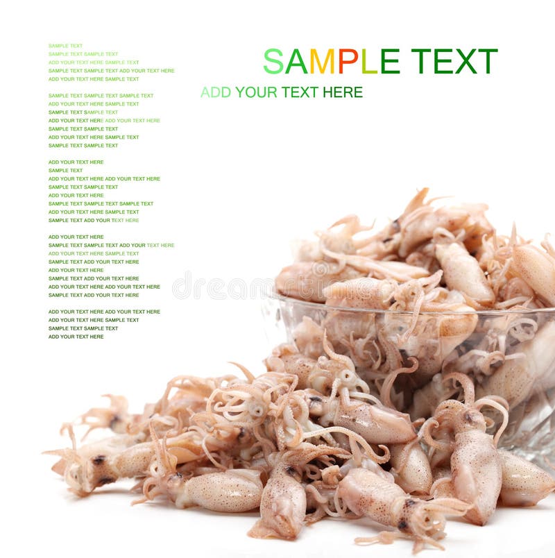 Dried squid stock image. Image of asia, healthy, nutrition 34390719