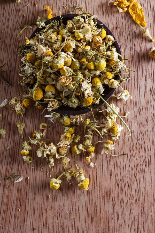 Dried chamomile stock photo. Image of medicinal, copy 35172458