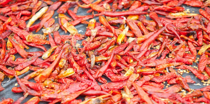 Dried Chili Peppers stock image. Image of color, food 34356335