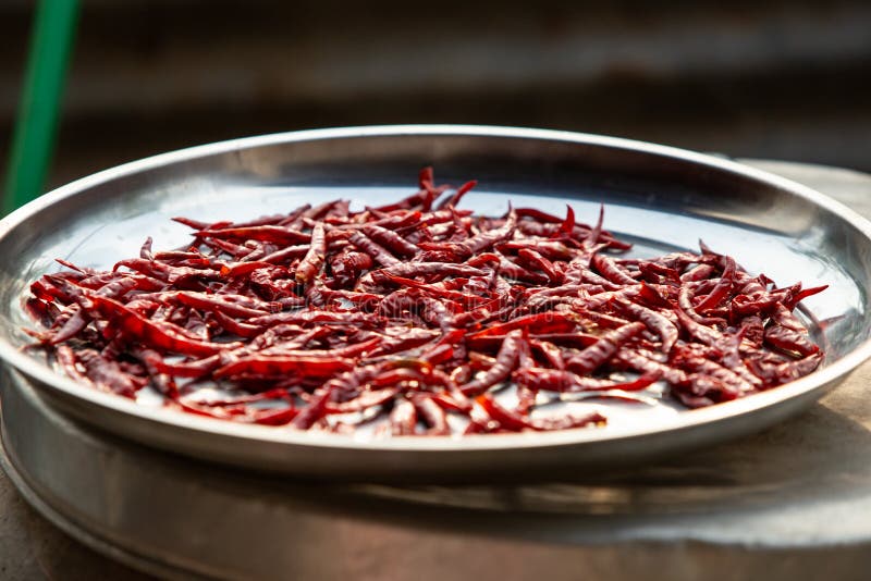 Dried Chilies Very Spicy for Thai Cooking Stock Image Image of