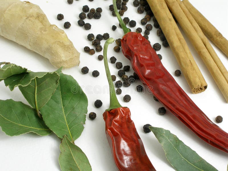Dried Chilli, Bay Leaves and Cinnamon Stock Photo Image of leaves