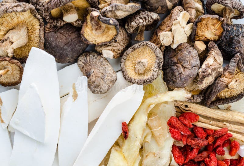 Dried Chinese herbs stock photo. Image of collection 40102466