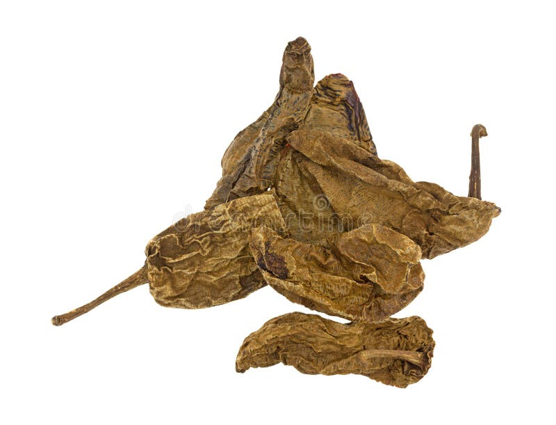 Dried Chipotle Chile Peppers On A White Background Stock Photo Image
