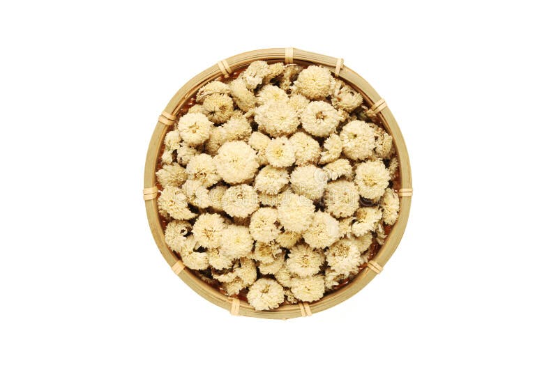 Dried chrysanthemum flower stock photo. Image of horticulture 34058208