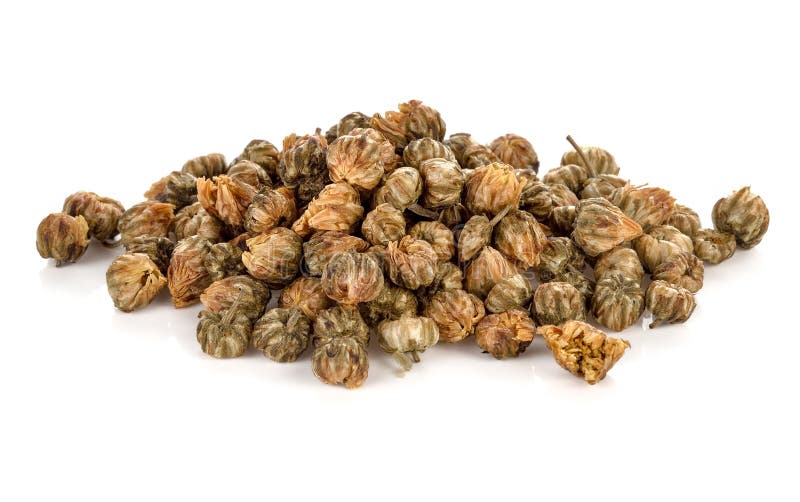 Dried Chrysanthemum Flower Isolated on White Stock Photo Image of