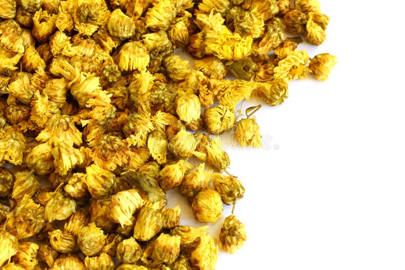 Dried Chrysanthemum Flowers Stock Photo Image of health, botany 29465592
