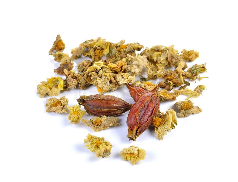 Dried Chrysanthemum Morifolium Flower Stock Image Image of