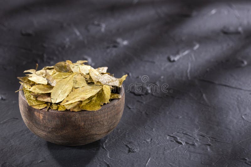 Dried Coca Leaves Erythroxylum Coca Stock Photo Image of protein