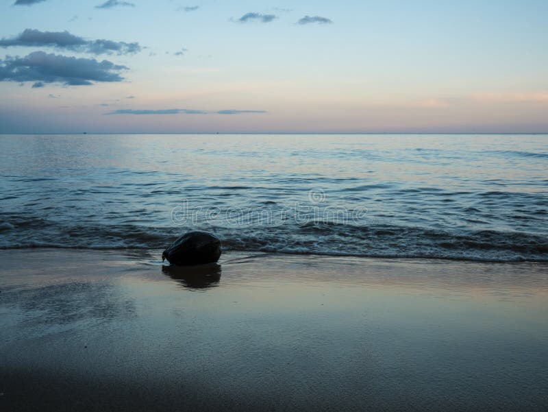 Dried Coconut on the Beach on Sunset Time Stock Photo Image of ocean