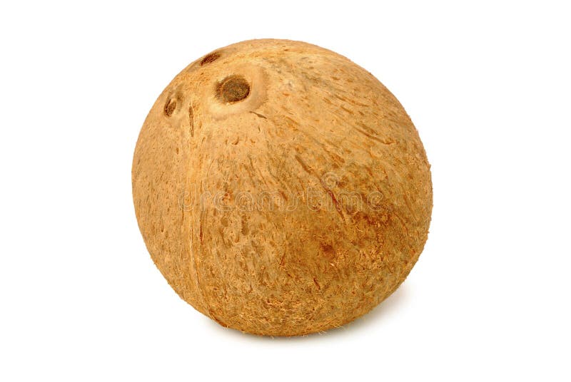 Dried Coconut.with Clipping Path. Stock Photo Image of copra, healthy