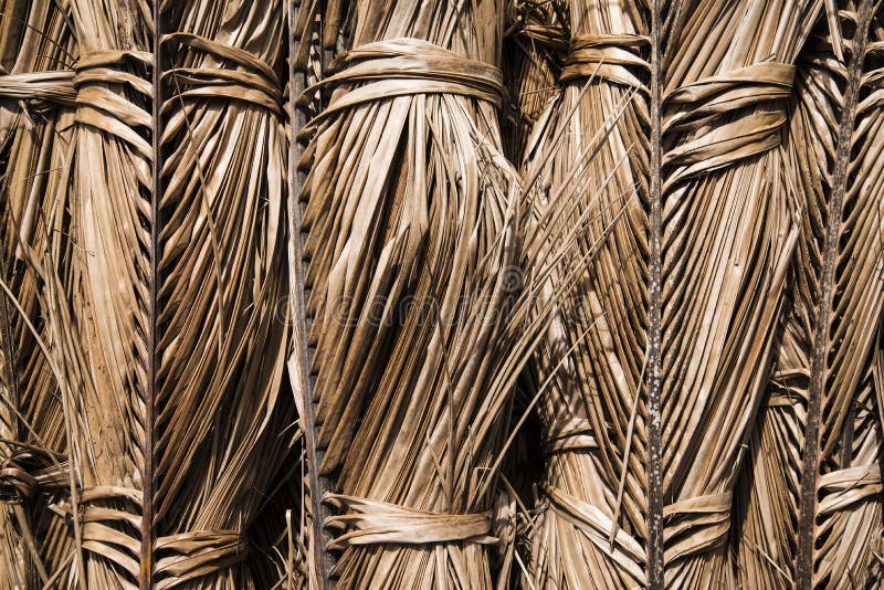 288 Dried Coconut Leaves Texture Stock Photos Free & RoyaltyFree