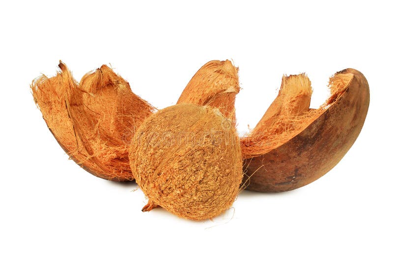 Dried Coconut.with Clipping Path. Stock Photo Image of copra, healthy