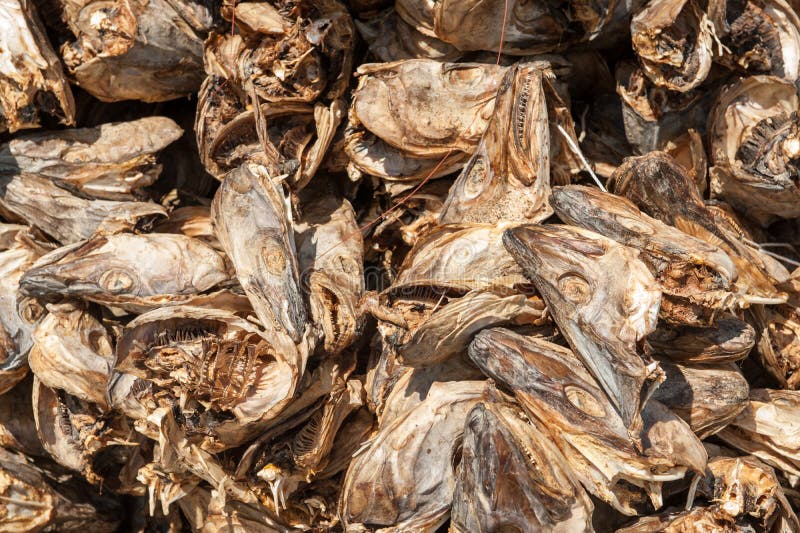 Dry Stockfish Head (1 Pc)