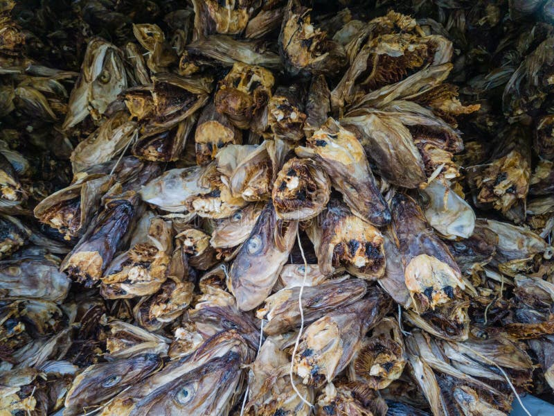 Dried cod heads stock image. Image of stockfish, traditionally 166137493
