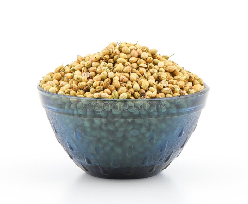 Dried coriander seeds stock image. Image of aroma, dried 97611009