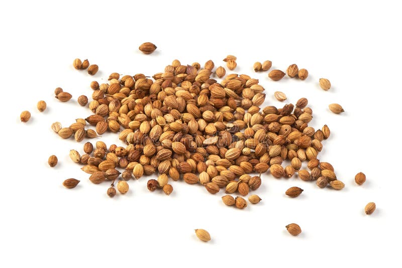 Dried Coriander Seeds, Isolated on White Background Stock Image Image