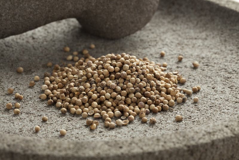 186 Dried Coriander Fruits Stock Photos Free & RoyaltyFree Stock