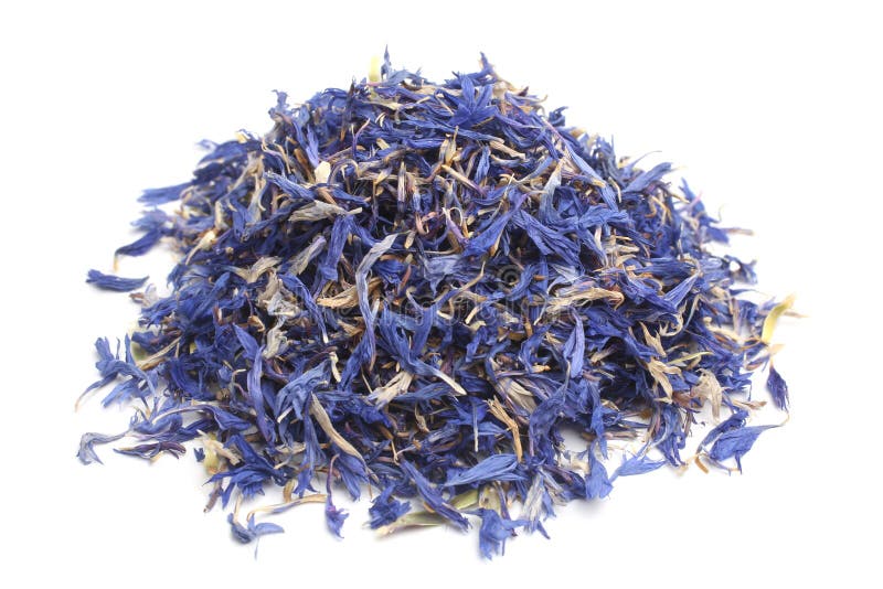 Dried cornflower tea stock image. Image of blossom, agriculture 119859085