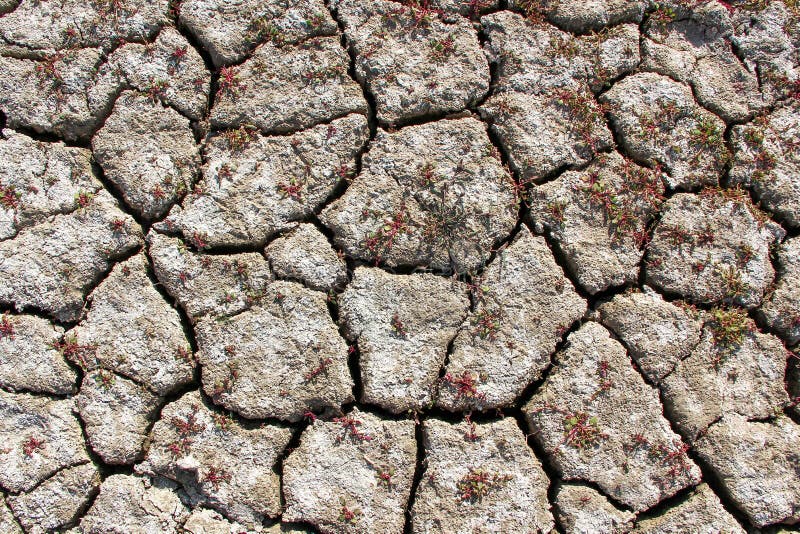 Dried cracked lake bottom background royalty free stock photo