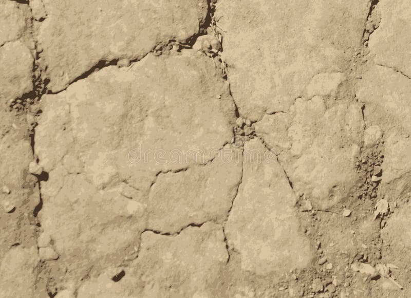 Dried cracked soil. Vector texture vector illustration Dried cracked soil. Vector texture vector illustration