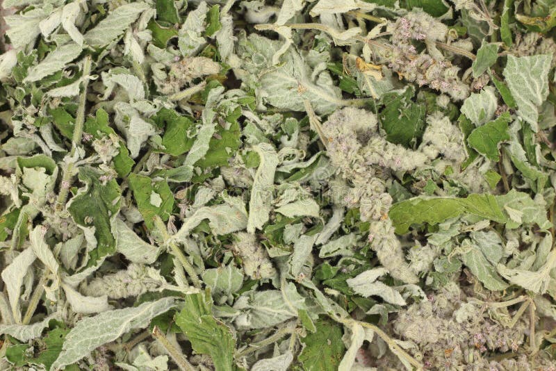 Dried crushed mint leaves background royalty free stock photography