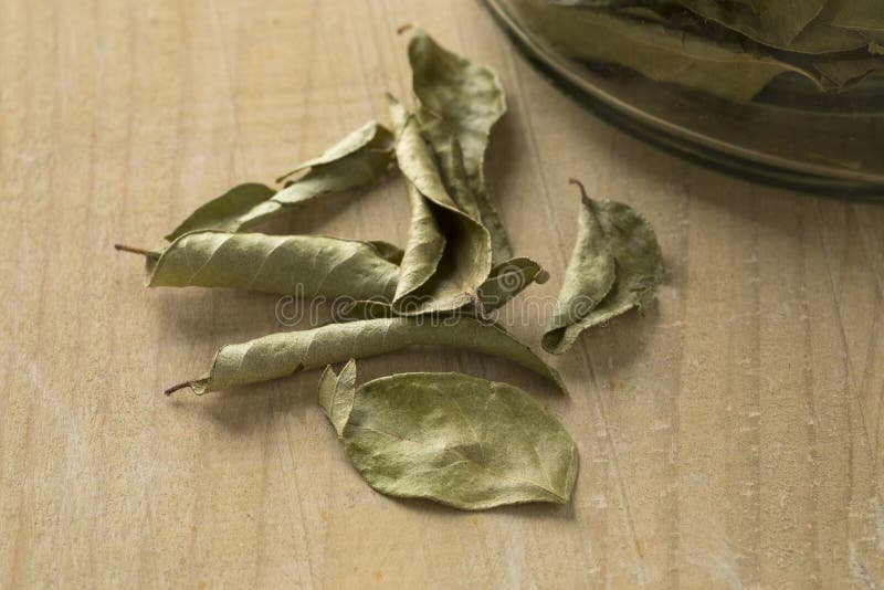 Dried curry leaves stock photo. Image of close, seasoning 136450952