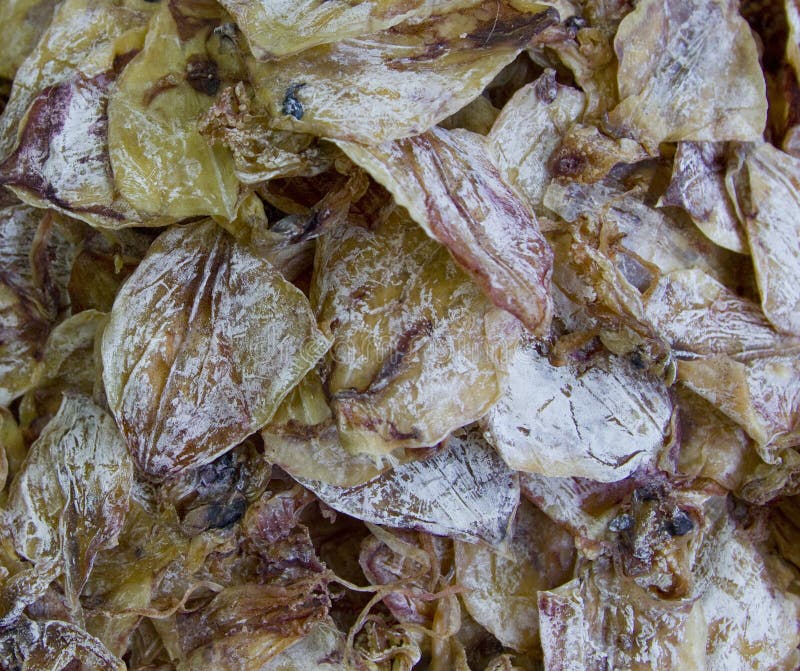 Dried fish stock image. Image of long, southeast, natural 37932343