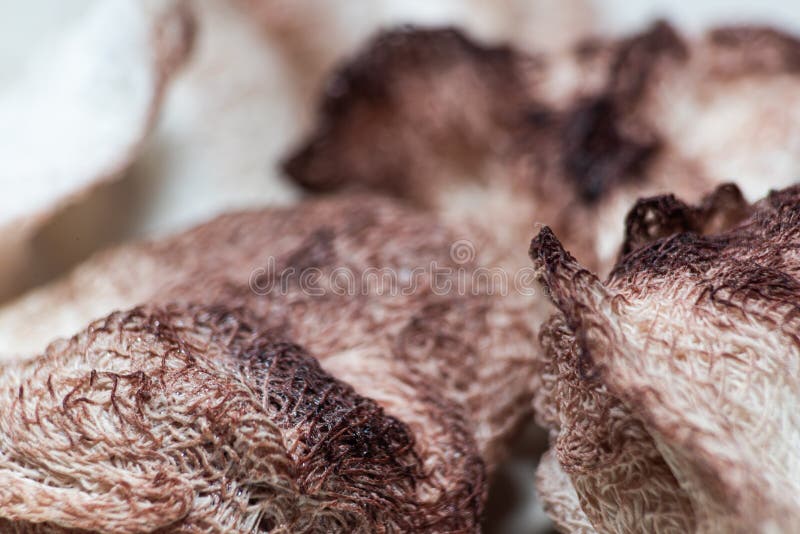 Dried Blood On The Scratch On The Knee After Falling Stock Image