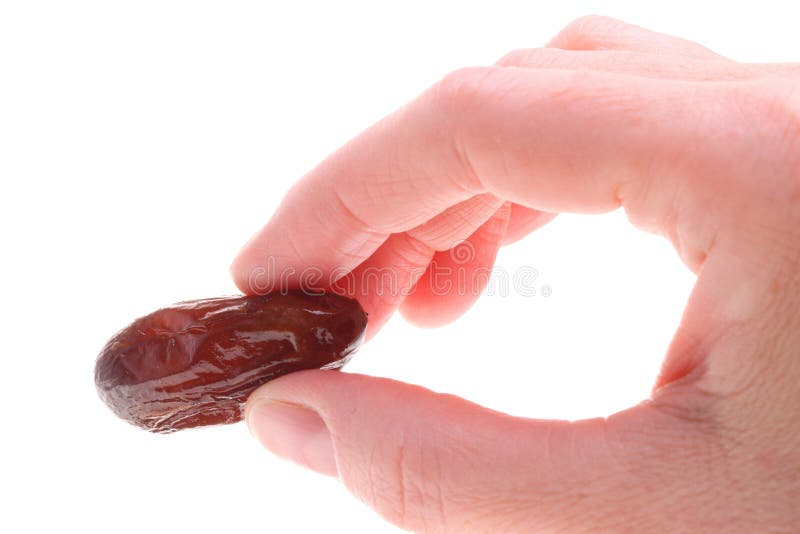 Dried date fruits in palm isolated