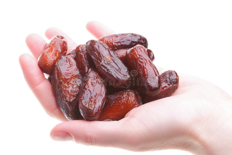 Dried date fruits in palm isolated