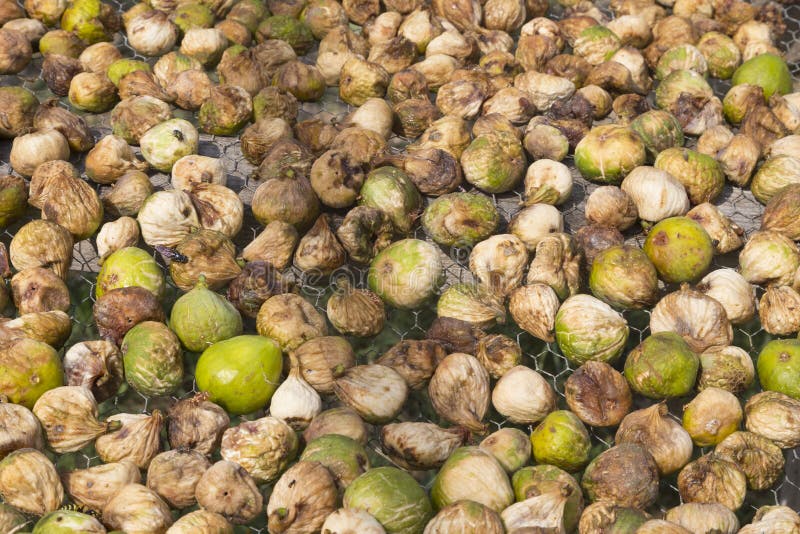 Dried figs on the sun stock photo. Image of health, dried 77599278